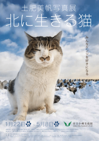 企画展「土肥美帆写真展 北に生きる猫」市立小樽文学館