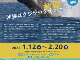「ザトウクジラ展」沖縄県立博物館・美術館