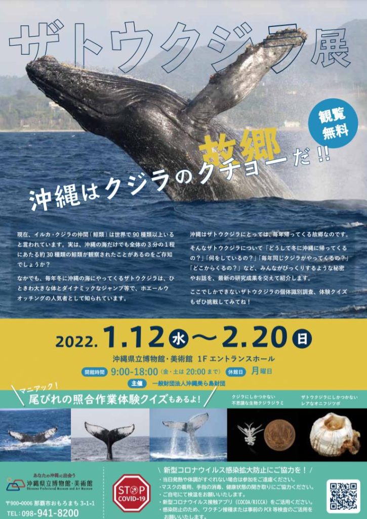 「ザトウクジラ展」沖縄県立博物館・美術館
