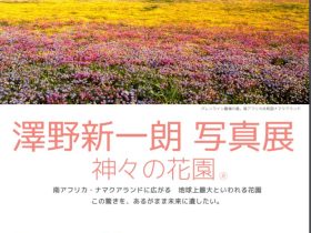 「澤野新一朗 写真展　神々の花園（R）」白鷹町文化交流センター「あゆーむ」