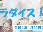 「貝殻パラダイス！」福島県立博物館