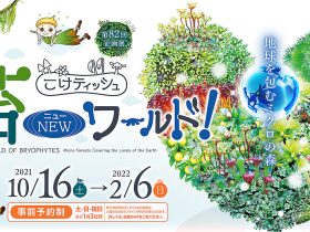 「こけティッシュ 苔ニューワールド！-地球を包むミクロの森-」ミュージアムパーク 茨城県自然博物館