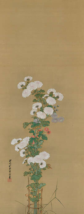 狩野雅信《菊花図》双幅左　二幅、絹本着色、108.0×43.4cm、江戸時代後期(19世紀)　敦賀市立博物館蔵
