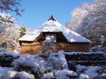 特別展示「雪囲い－旧菅原家－」川崎市立日本民家園