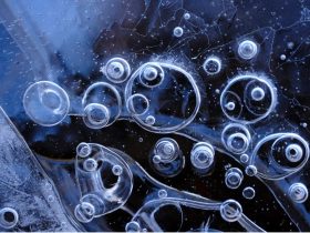 山岸仁史写真展「ICE FORMS —氷の不思議—」FUJIFILM SQUARE（フジフイルム スクエア）