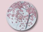 枝垂桜文 大皿（径41.0cm 高さ7.2cm）
