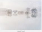 小関一成写真展「霧幻の水森もり -Lake Shirakawa-」FUJIFILM SQUARE（フジフイルム スクエア）