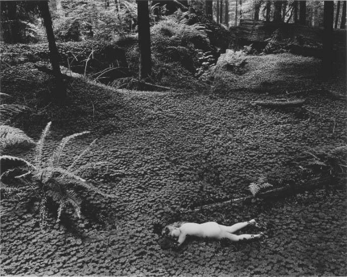 ウィン・バロック《森の中の子ども》　1951年　ゼラチン・シルヴァー・プリント　山口県立美術館