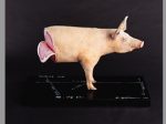 吉村益信《豚;Pig Lib》1994