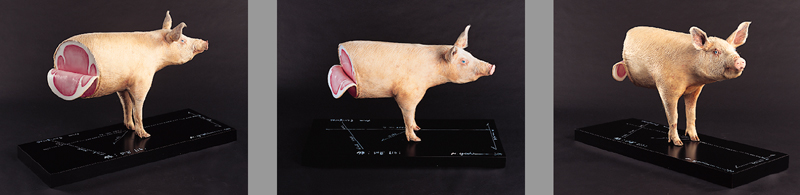 吉村益信《豚;Pig Lib》1994