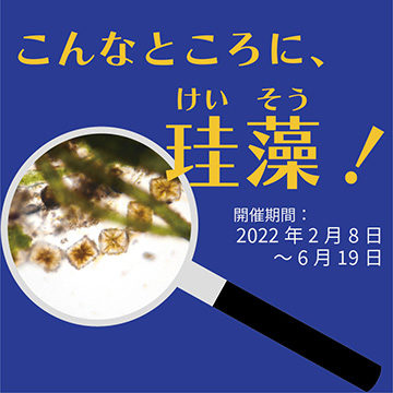 スロープ展「こんなところに、珪藻！」 埼玉県立川の博物館