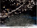 田原芳明写真展「一会の記憶 －平成の原風景－」FUJIFILM SQUARE（フジフイルム スクエア）