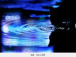 松山 和照写真展 「夜猫」FUJIFILM SQUARE（フジフイルム スクエア）