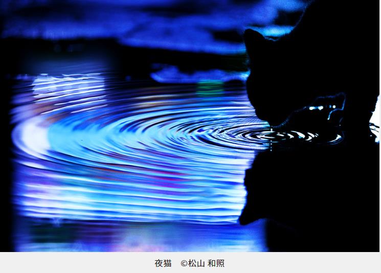 松山 和照写真展 「夜猫」FUJIFILM SQUARE（フジフイルム スクエア）