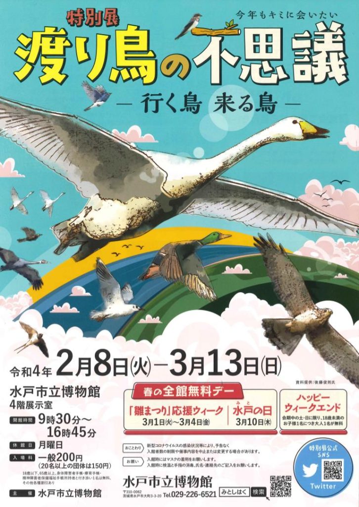 「渡り鳥の不思議ー行く鳥　来る鳥ー」水戸市立博物館
