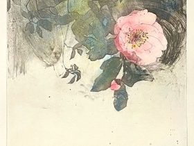 「雄蕊雌蕊」 2020 銅版画、手彩色 Etching, aquatint, pastel 53.5×36.0cm ed. 30