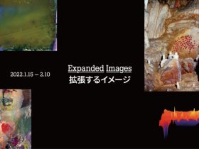 「EXPANDED IMAGES 拡張するイメージ」RICOH ART GALLERY