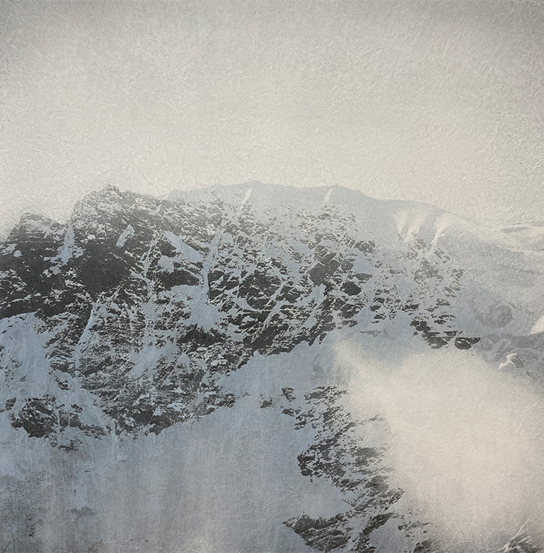 「Snowscape」 20号　岩絵の具、墨、和紙