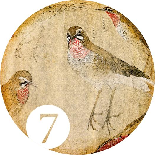 特別展示『アヴェス・ヤポニカエ(7) ——日々是鳥日』インターメディアテク