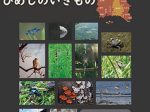 企画展：第5回 生物多様性写真展「ひめじのいきもの」姫路科学館
