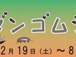 自然系テーマ展「ダンゴムシ」栃木県立博物館