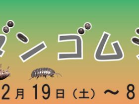 自然系テーマ展「ダンゴムシ」栃木県立博物館