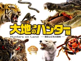 特別展「大地のハンター展　Hunters on Land　―陸の上にも4億年―」名古屋市科学館