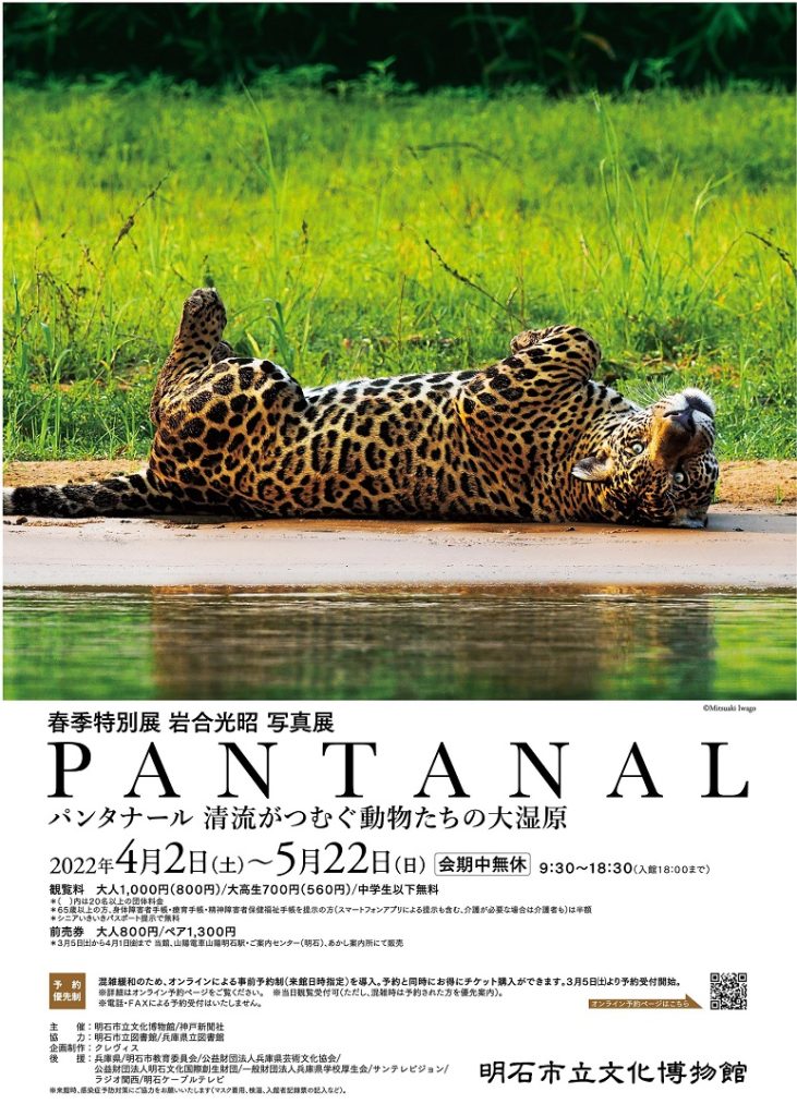 「岩合光昭 写真展 PANTANAL パンタナール　清流がつむぐ動物たちの大湿原」明石市立文化博物館