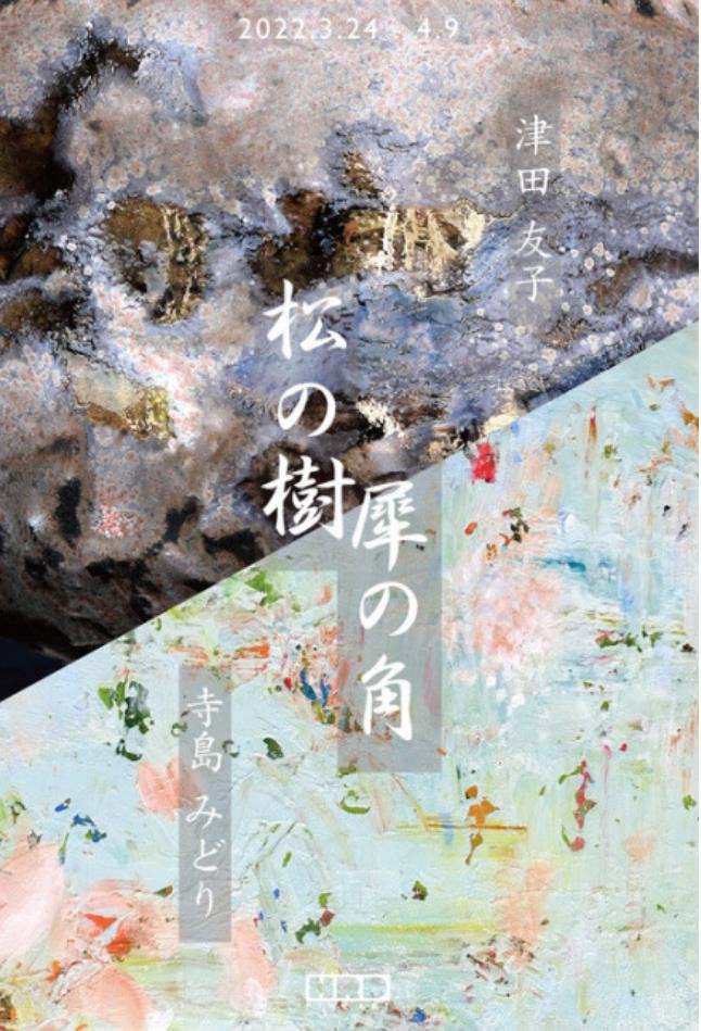 寺島みどり＋津田友子「松の樹／犀の角」HRDファインアート