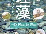 「珪藻 ～水の中の小さな住人～」埼玉県立川の博物館