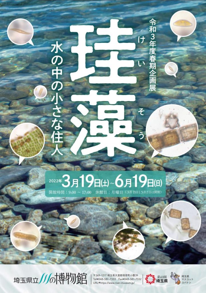 「珪藻 ～水の中の小さな住人～」埼玉県立川の博物館