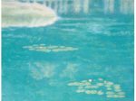「現代日本画にみる花の表現～風景画と静物画～Part1　花のある風景」箱根・芦ノ湖成川美術館