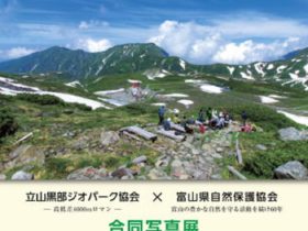 立山黒部ジオパーク協会×富山県自然保護協会　合同写真展「奇跡の大地と自然の鼓動」富山市ガラス美術館