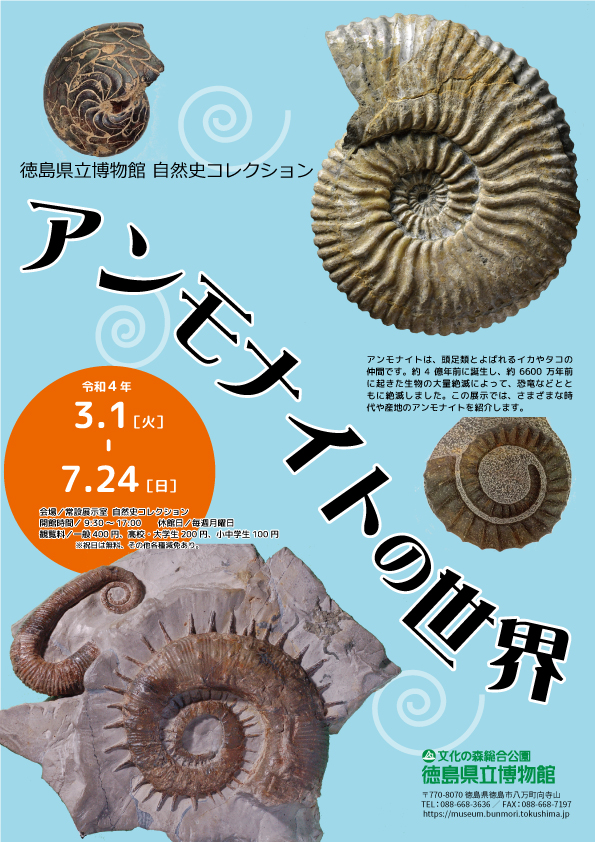 自然史コレクション「アンモナイトの世界」徳島県立博物館
