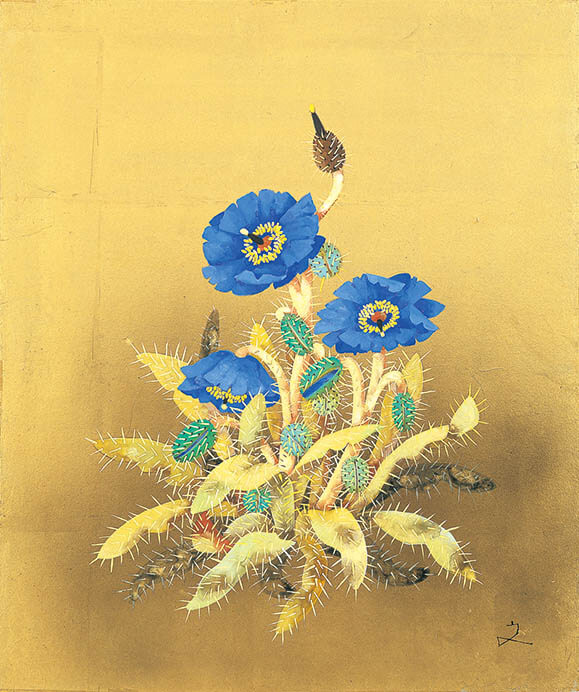 《幻の花 ブルーポピー》2001年　45.5×33.3　堀文子展2001…現在　米八グループ所蔵