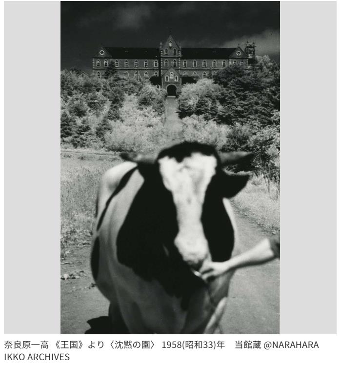 「奈良原一高―王国 Domains」北海道立函館美術館