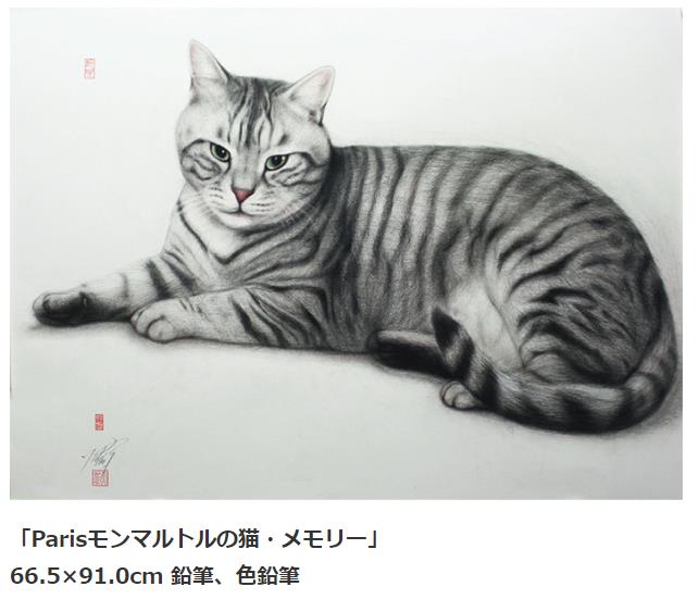 「Parisモンマルトルの猫・メモリー」 66.5×91.0cm 鉛筆、色鉛筆