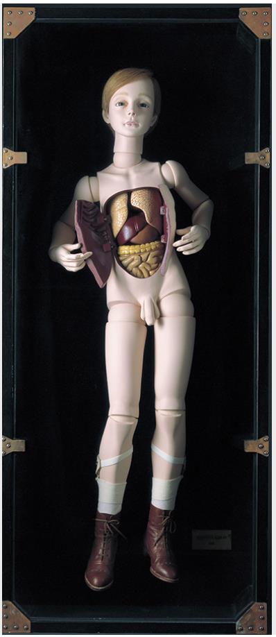 四谷シモン《解剖学の少年》1983年　東京国立近代美術館蔵　撮影 斎城卓