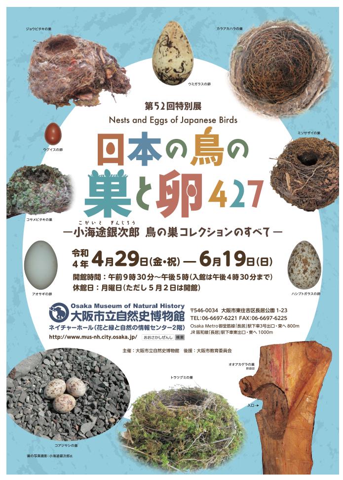特別展「日本の鳥の巣と卵427 ～小海途銀次郎 鳥の巣コレクションのすべて～」大阪市立自然史博物館