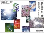 蜷川実花「瞬く光の庭」東京都庭園美術館