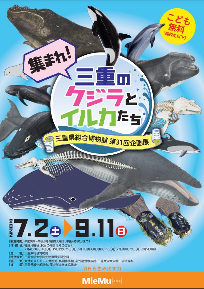 第31回企画展「集まれ！三重のクジラとイルカたち」三重県総合博物館（MieMu）