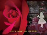 「薔薇とアリス・part.3」BOOKS & GALLERY cafe 点滴堂