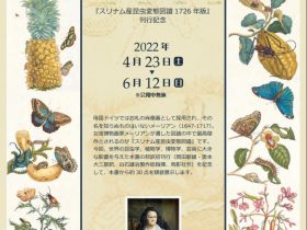 『スリナム産昆虫変態図譜1726年版』刊行記念「女流博物画家メーリアンの世界展」軽井沢タリアセン