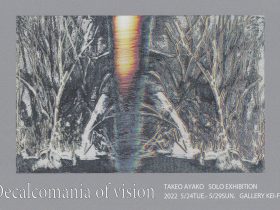 「武雄　文子 個展　 Decalcomania of vision　　 TAKEO Ayako」ギャラリー恵風