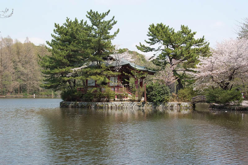春の三宝寺池