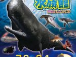 「モンスター水族館　～深海魚とサメのひみつ～」宮崎県総合博物館