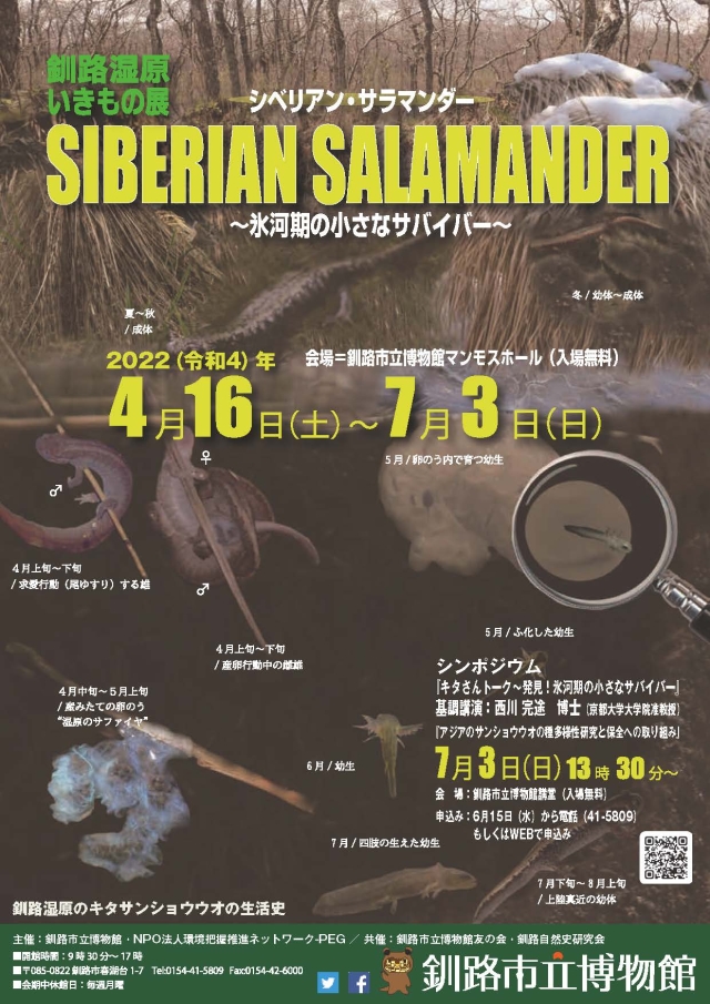 釧路湿原いきもの展「シベリアン・サラマンダー～氷河期の小さなサバイバー～」釧路市立博物館