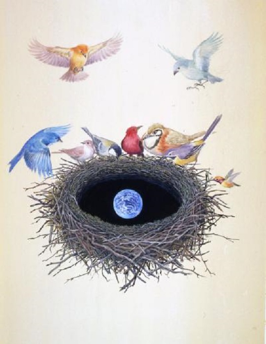 鈴木まもる《Bird's Nests of the World》 2012年　作家蔵