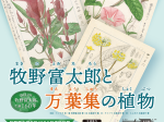 牧野富太郎生誕160年記念特別展「牧野富太郎と万葉集の植物」牧野記念庭園記念館