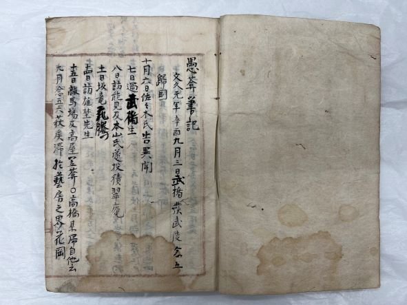脱藩前、龍馬の藩外への旅立ちを「坂竜飛騰」と記した樋口真吉の日記
